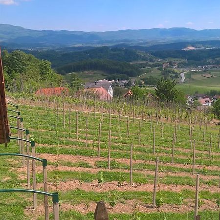 Vineyard Cottage Lustek Novo Mesto Eksteriør bilde