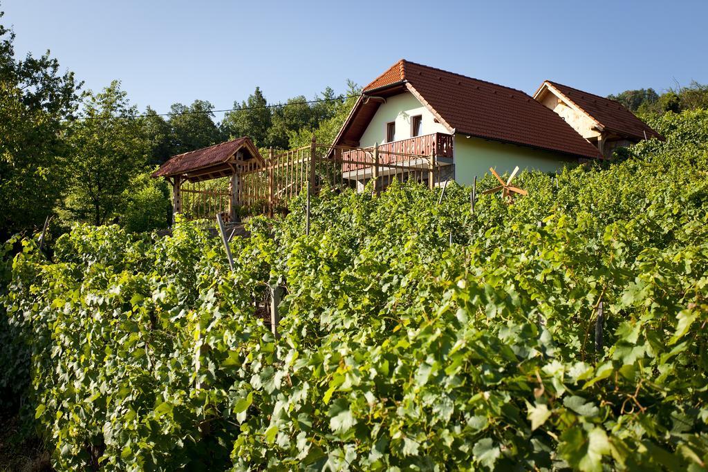 Vineyard Cottage Lustek Novo Mesto Eksteriør bilde