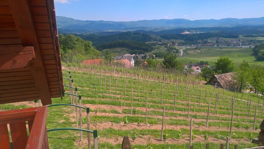 Vineyard Cottage Lustek Novo Mesto Eksteriør bilde